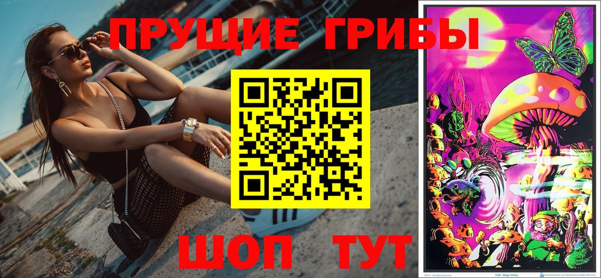 Галлюциногенные грибы GOLDEN TEACHER  Псилоцибиновые грибы Psilocybine cubensis  Вход с VPN  купить  цена  Советский 