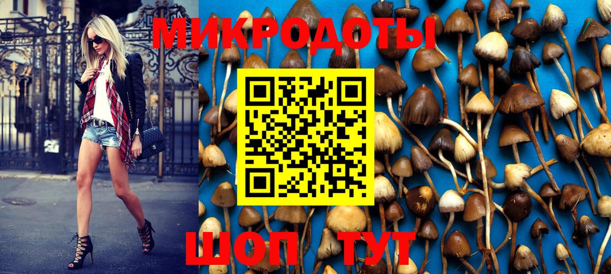 Псилоцибиновые грибы MAGIC MUSHROOMS Советский